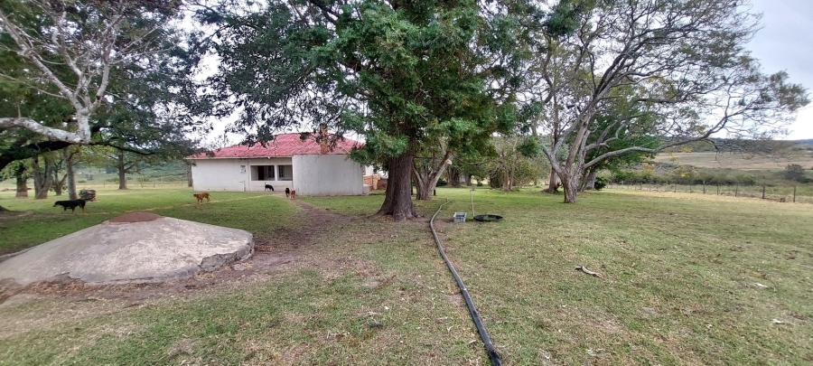 3 Bedroom Property for Sale in Komga Rural Eastern Cape